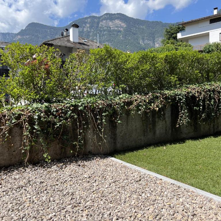 Apartment Garden 14 - Two-Bedroom Apartment with Garden View - 31