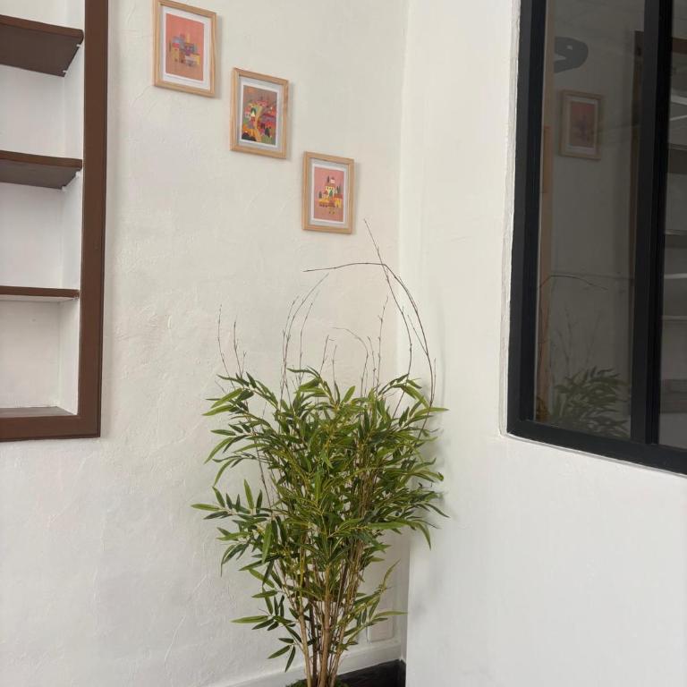 VIEILLE VILLE Appartement climatisé Rue Piétonne & Mer à Menton - Appartement 1 Chambre - 11