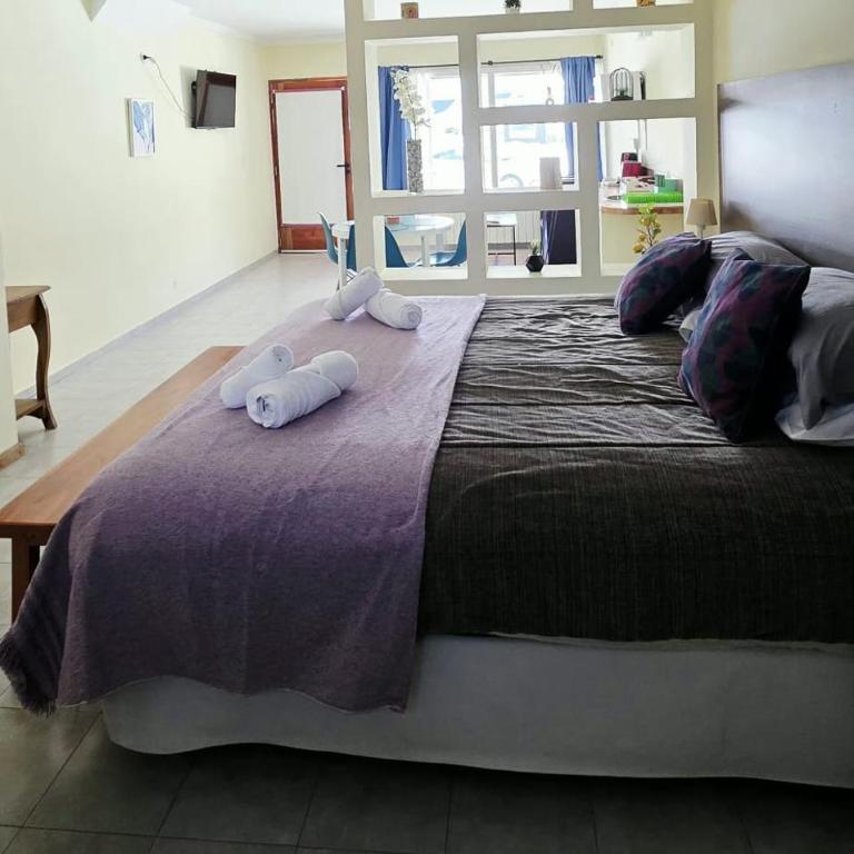 Apart Toro - One-Bedroom Apartment - 5