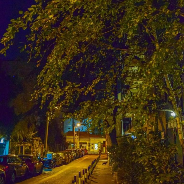 Vracar Cozy Nook - Apartman sa 2 Spavaće Sobe - 54