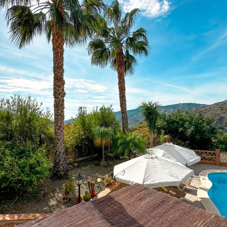 Villa Conchi en Frigiliana - Villa - 41