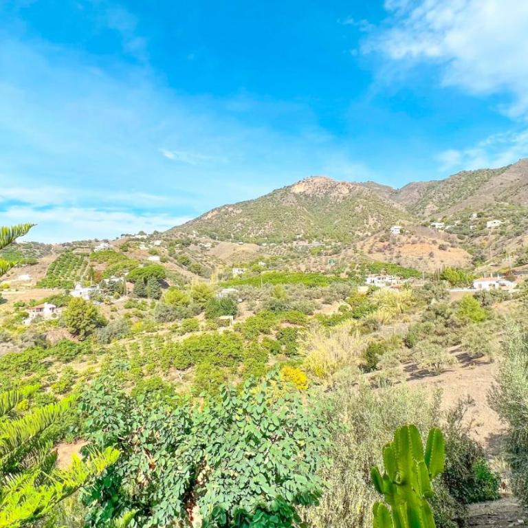 Villa Conchi en Frigiliana - Villa - 45