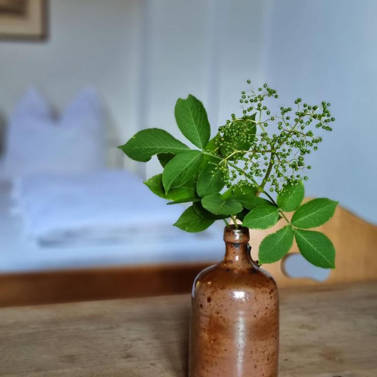 Juval - Oberortlhof - Apartamento de 1 dormitorio con vistas al jardín - 7