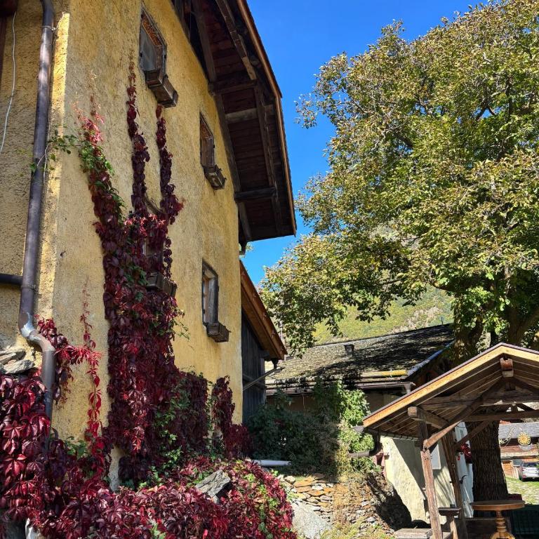 Juval - Oberortlhof - Apartamento de 1 dormitorio con vistas al jardín - 9