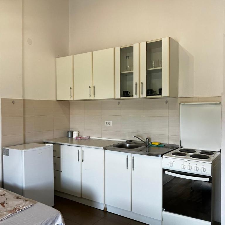 Garsonjera - One-Bedroom Apartment - 1