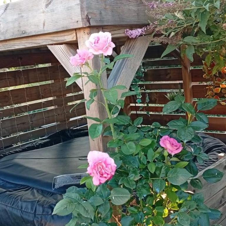 Gite calme proche du village - Maison 2 Chambres - 15