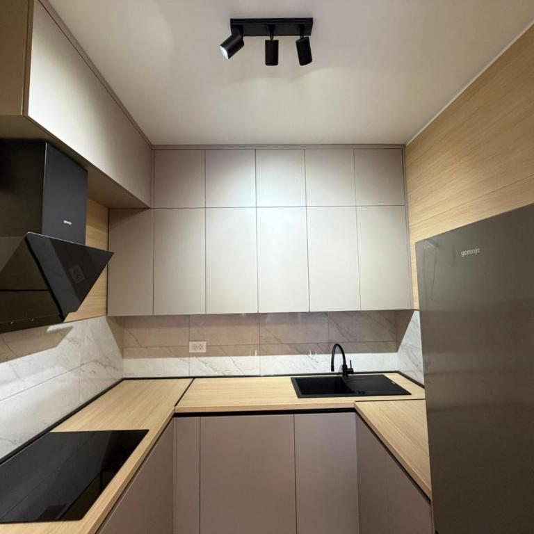 Aleja Borik - Apartman sa 1 Spavaćom Sobom - 7