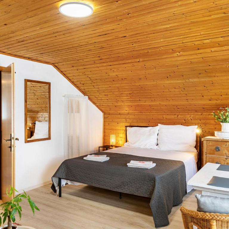 Lena Apartments - Studio mit Bergblick - 8