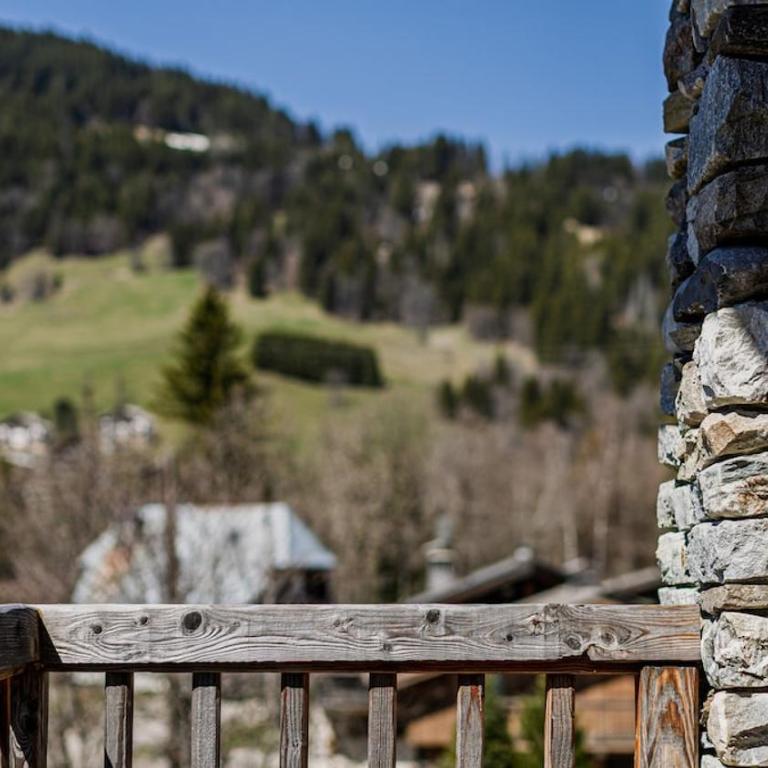 Luxury chalet - fireplace heated pool & sauna - Apartamento - 68