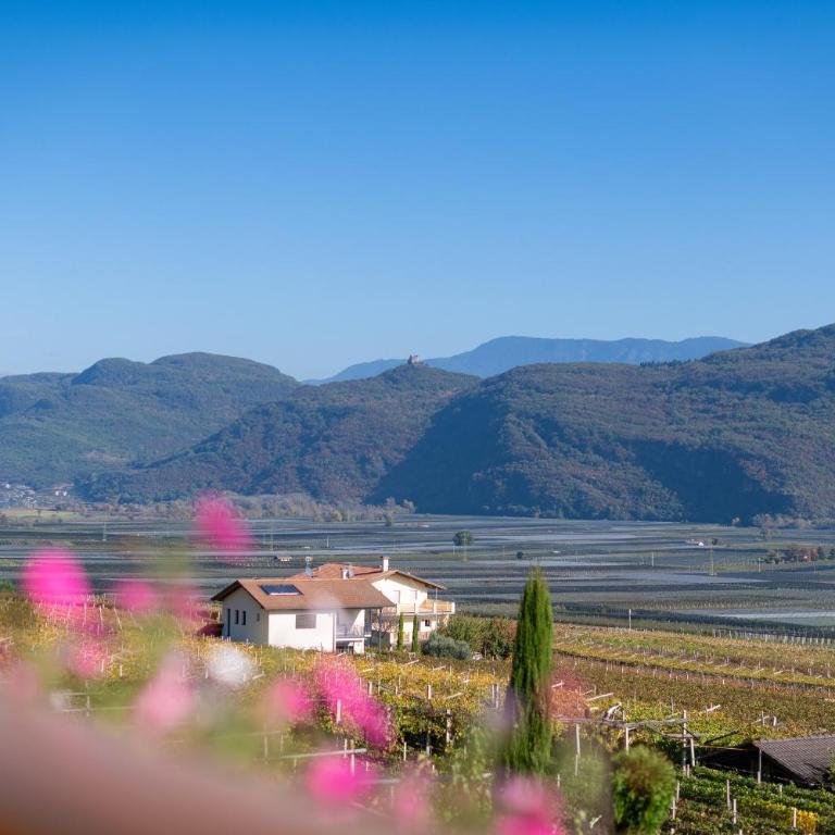 Apartments Burgunderhof - Apartamento de 1 dormitorio con balcón y vistas a la montaña - 1