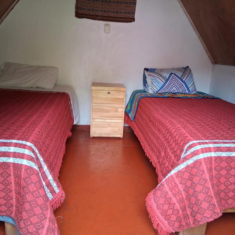 Hostel el molle capulichayoc - Habitación Doble - 2 camas - 1