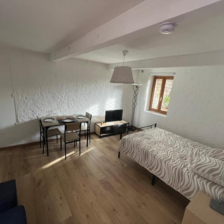 Studio avec terrasse au pied de la Cité - Appartement 1 Chambre - 2