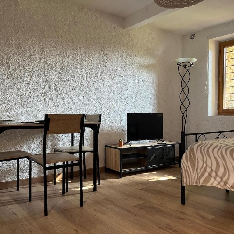 Studio avec terrasse au pied de la Cité - Appartement 1 Chambre - 1