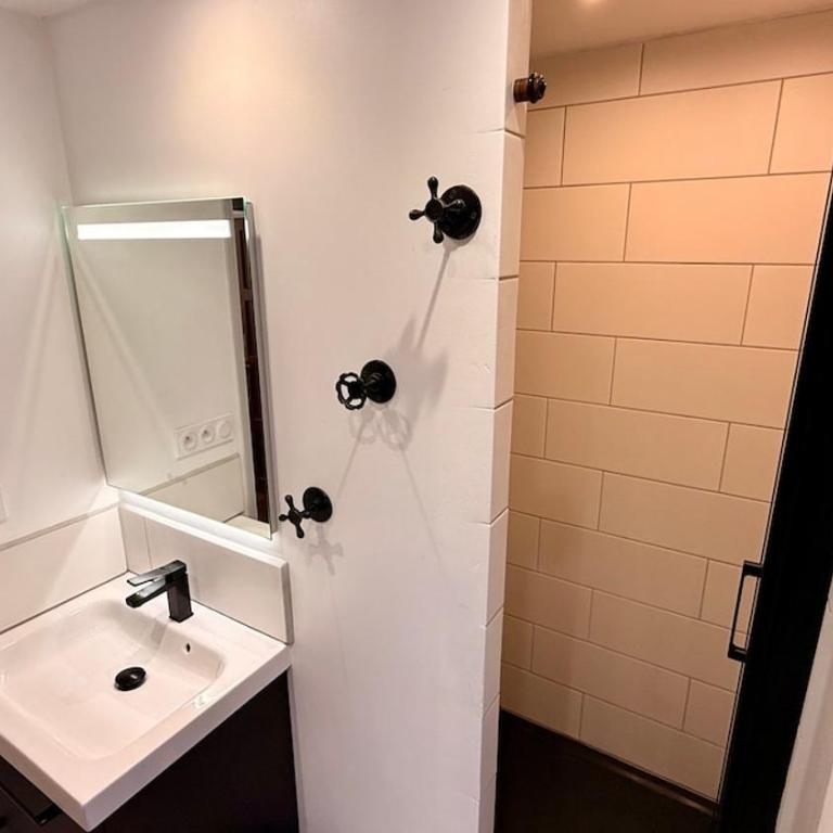 Les Soldanelles Le Mont Dore 10 à 12 personnes - Appartement 3 Chambres - 5