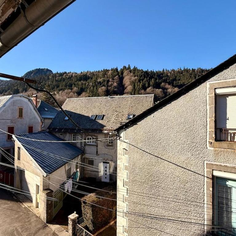 Les Soldanelles Le Mont Dore 10 à 12 personnes - Appartement 3 Chambres - 21