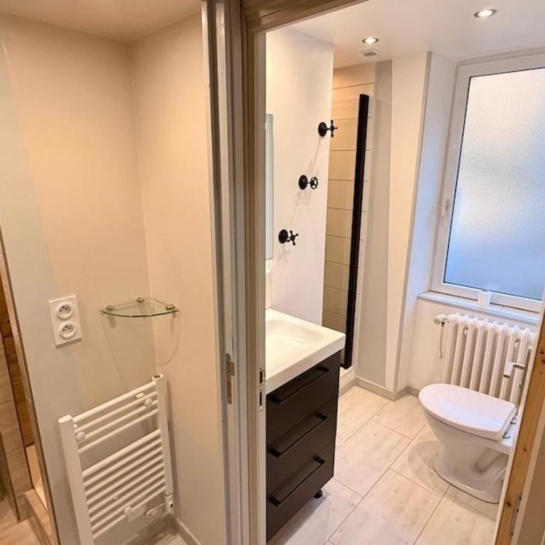 Les Soldanelles Le Mont Dore 10 à 12 personnes - Appartement 3 Chambres - 23