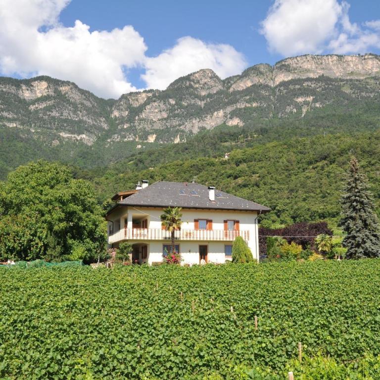 Apartments Haus Weinberg - Appartamento - 20