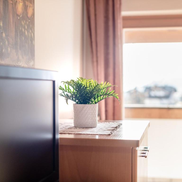 Apartments Haus Weinberg - Loft - 13