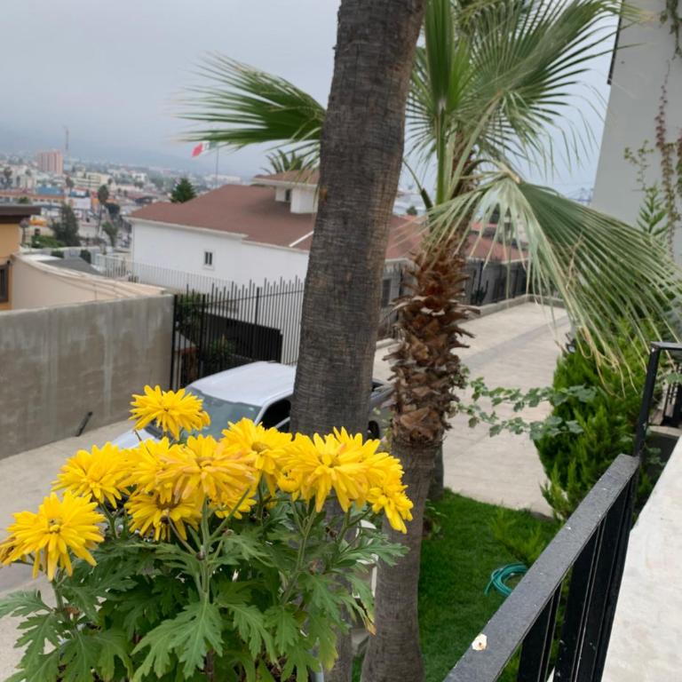 El Refugio - Bungalow de 3 dormitorios - 15