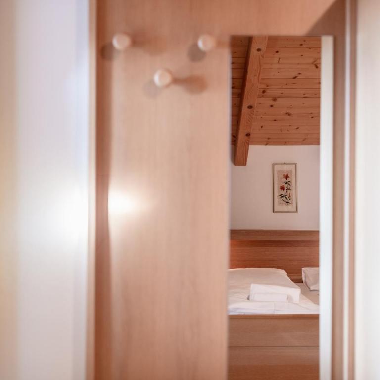 Apartments Haus Weinberg - Loft - 17