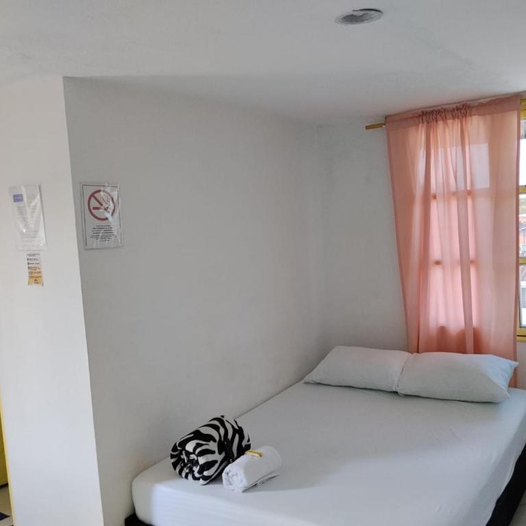 El Molino - Double Room with Private Bathroom - 5