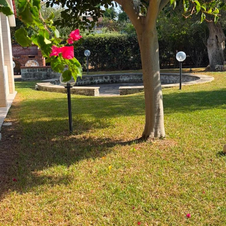 Villa Nuccia - Sea Dream - Villa con 3 Camere da Letto - 8