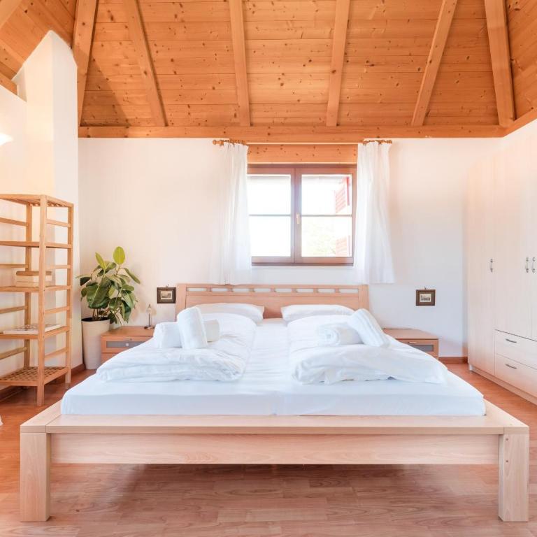Wieshof Nature Home - Appartamento Classic - 4