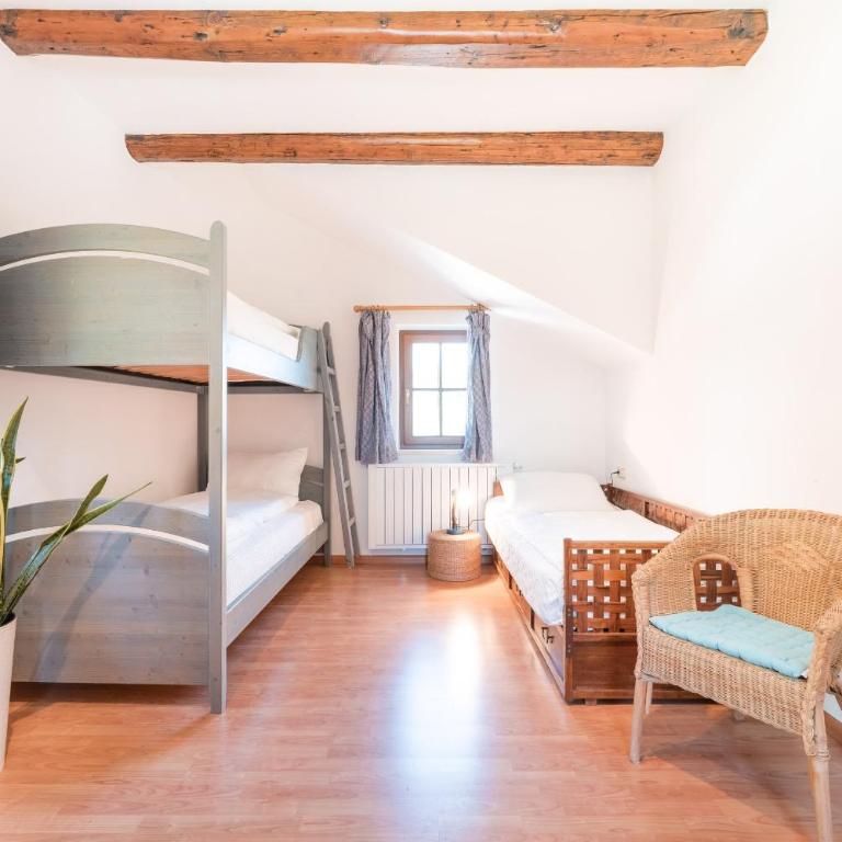 Wieshof Nature Home - Appartamento Classic - 22