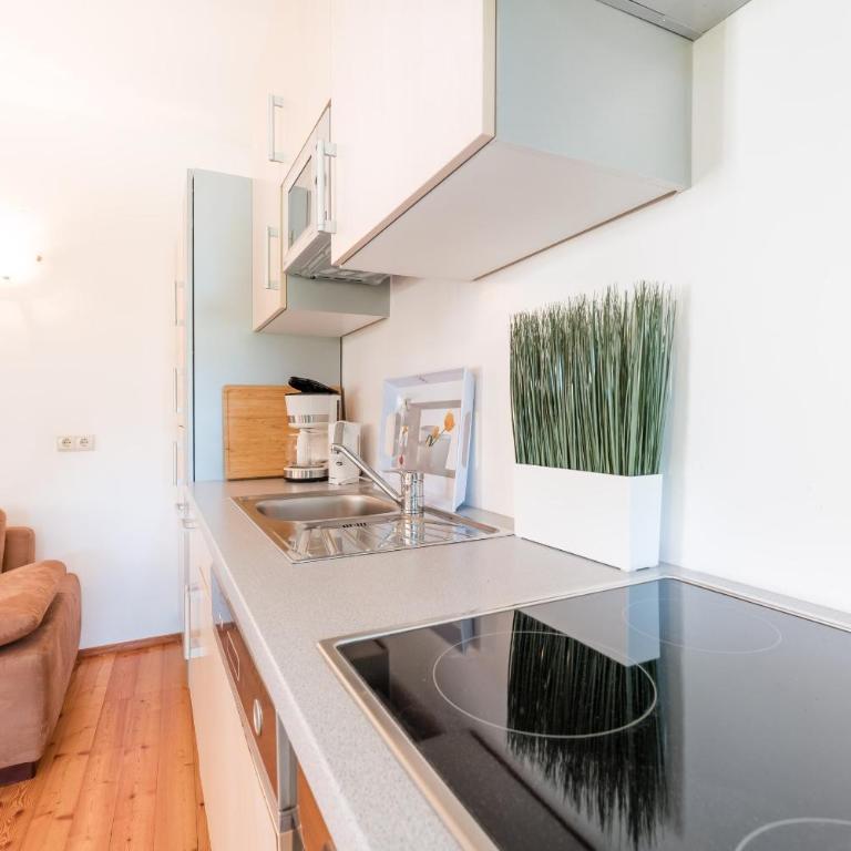 Wieshof Nature Home - Appartamento Classic - 28