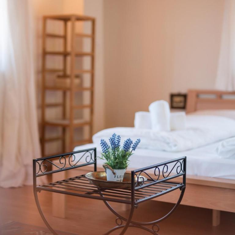 Wieshof Nature Home - Appartamento Classic - 41