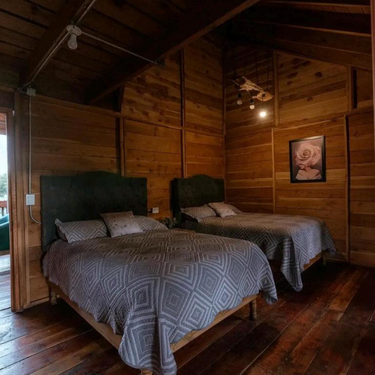 Betty departamentos - Two-Bedroom Apartment - 4