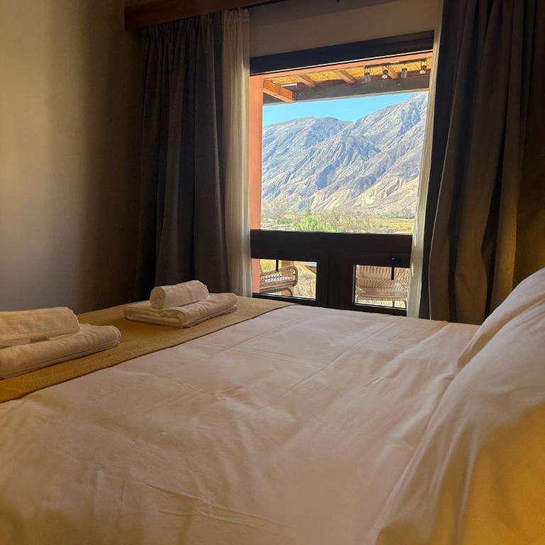 Tintas del Norte - One-Bedroom House - 10