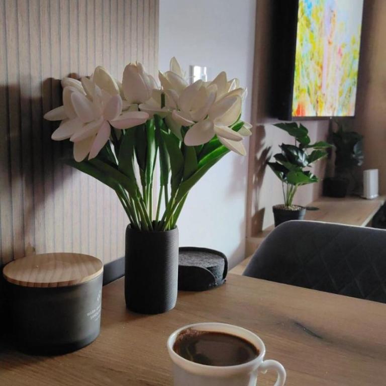 Apartman Aleksa Balkan Square Centar - Studio Apartment with Queen Bed - 29