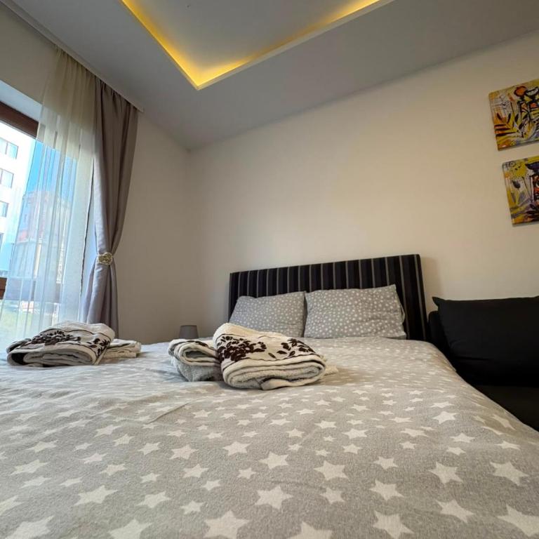 Apartman Nešić Milmari P72 - Appartement 1 Chambre - 2