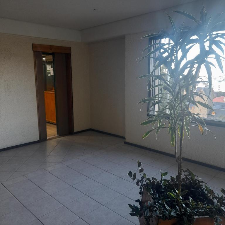 Energía del Nahuel - Apartamento de 2 dormitorios con vistas al lago - 21