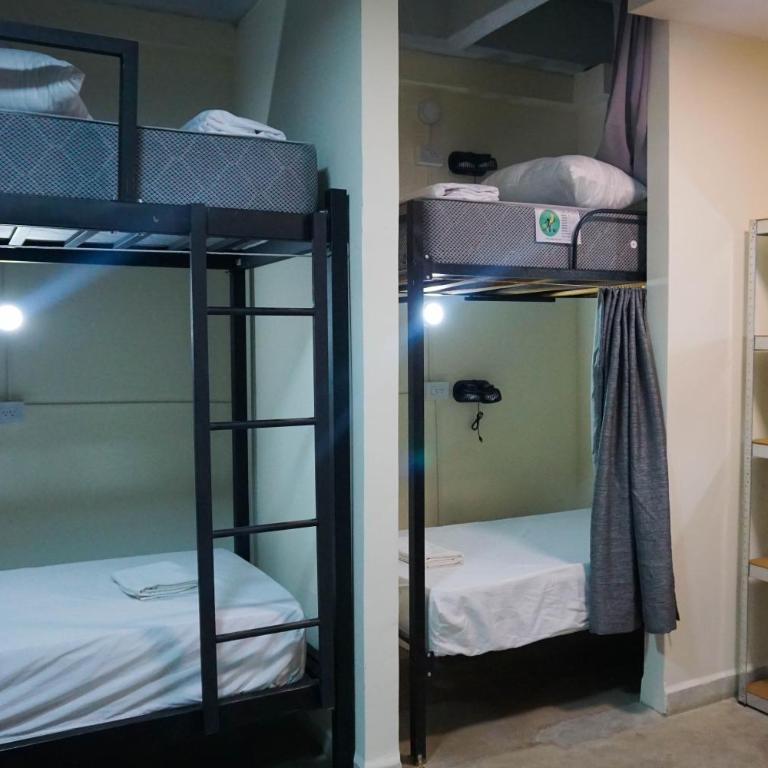Selva House - Single Bed in Mixed Dormitory Room - 17