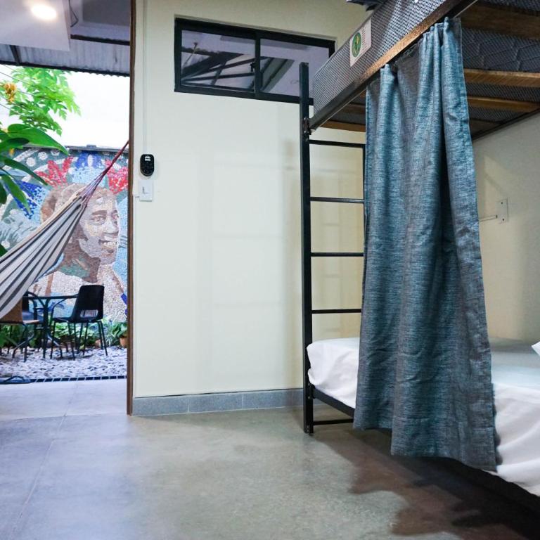 Selva House - Single Bed in Mixed Dormitory Room - 15
