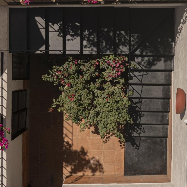 Casa Pilar - Superior Terrace - One-Bedroom Apartment - 22