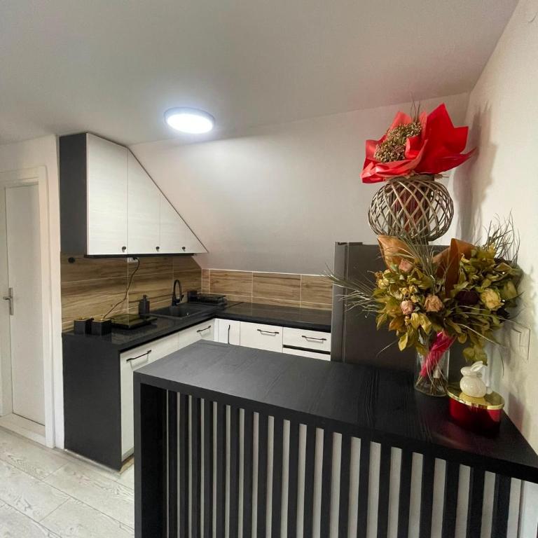 Bašta LUX - Appartement - 14
