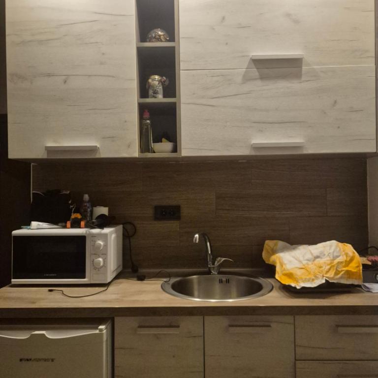 Apartman Nešić Milmari P72 - Appartement 1 Chambre - 9