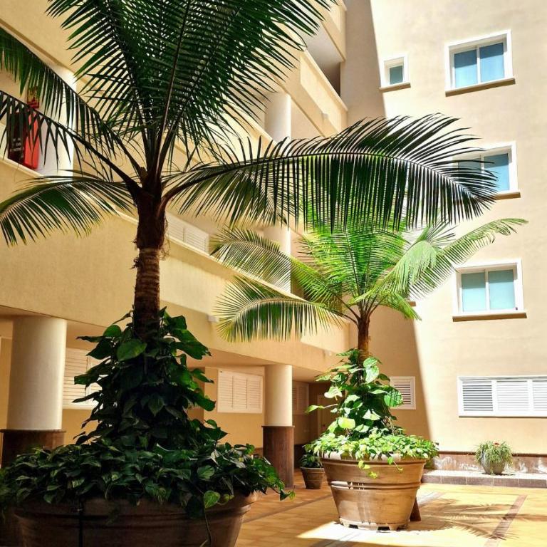 Superb apartment overlooking Los Gigantes - Apartamento de 2 dormitorios - 23