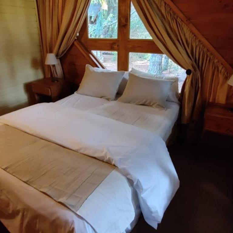 Cabañas en el bosque de Puerto Manzano, El Remanso - Chalet de 2 dormitorios - 3