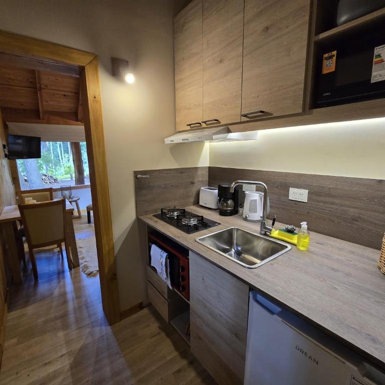 Cabañas en el bosque de Puerto Manzano, El Remanso - Chalet de 1 dormitorio - 3