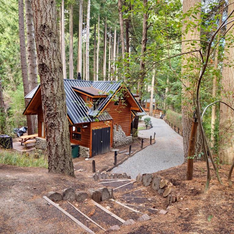 Cabañas en el bosque de Puerto Manzano, El Remanso - Chalet de 2 dormitorios - 4