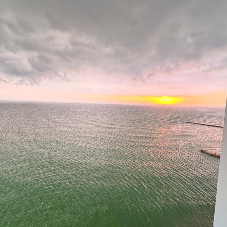 Palmetto Sunset - One-Bedroom Family Apartment - 26