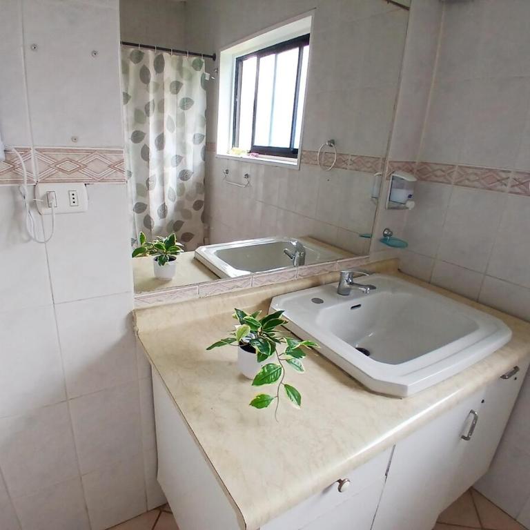 El retorno a Viña 10 Norte Alojamiento para 8 personas 3 Habitaciones - Habitación Familiar - 5