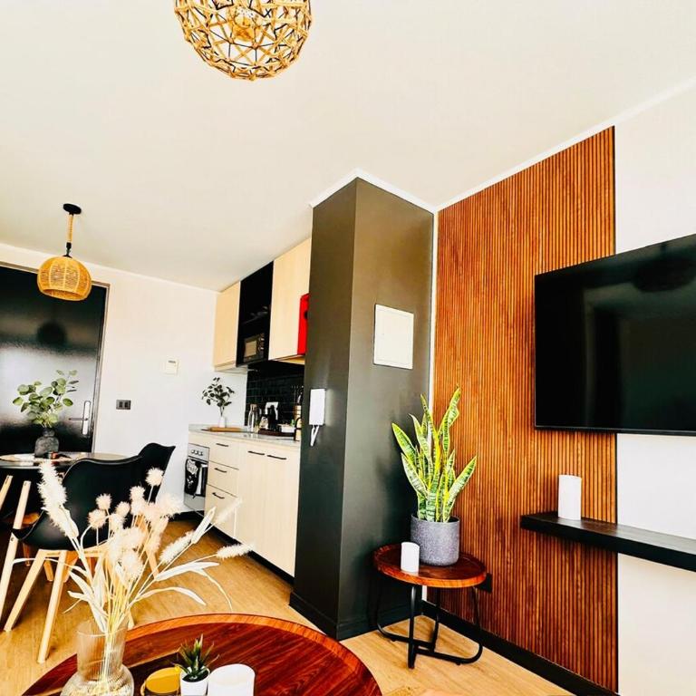 Apartment in Santiago - Apartamento de 1 dormitorio - 1
