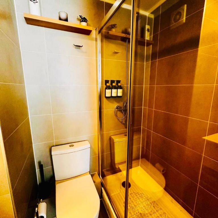 Apartment in Santiago - Apartamento de 1 dormitorio - 3