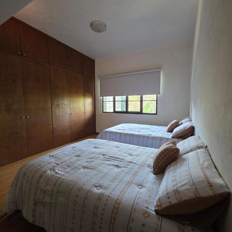 Cygnus Residence - Villa - 2