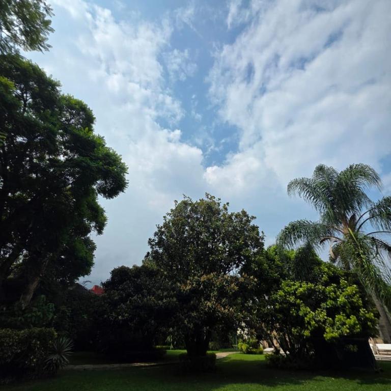 Cygnus Residence - Villa - 8